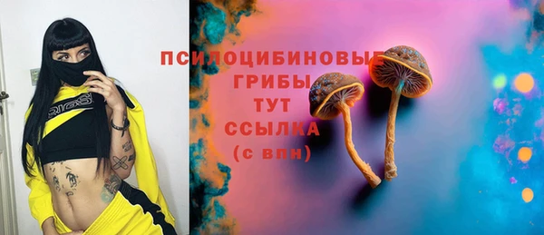метамфетамин Белокуриха