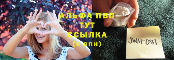 мдпв Лабытнанги