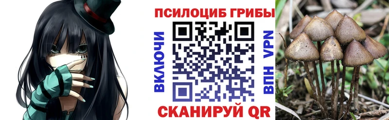 Псилоцибиновые грибы MAGIC MUSHROOMS  Жигулёвск 